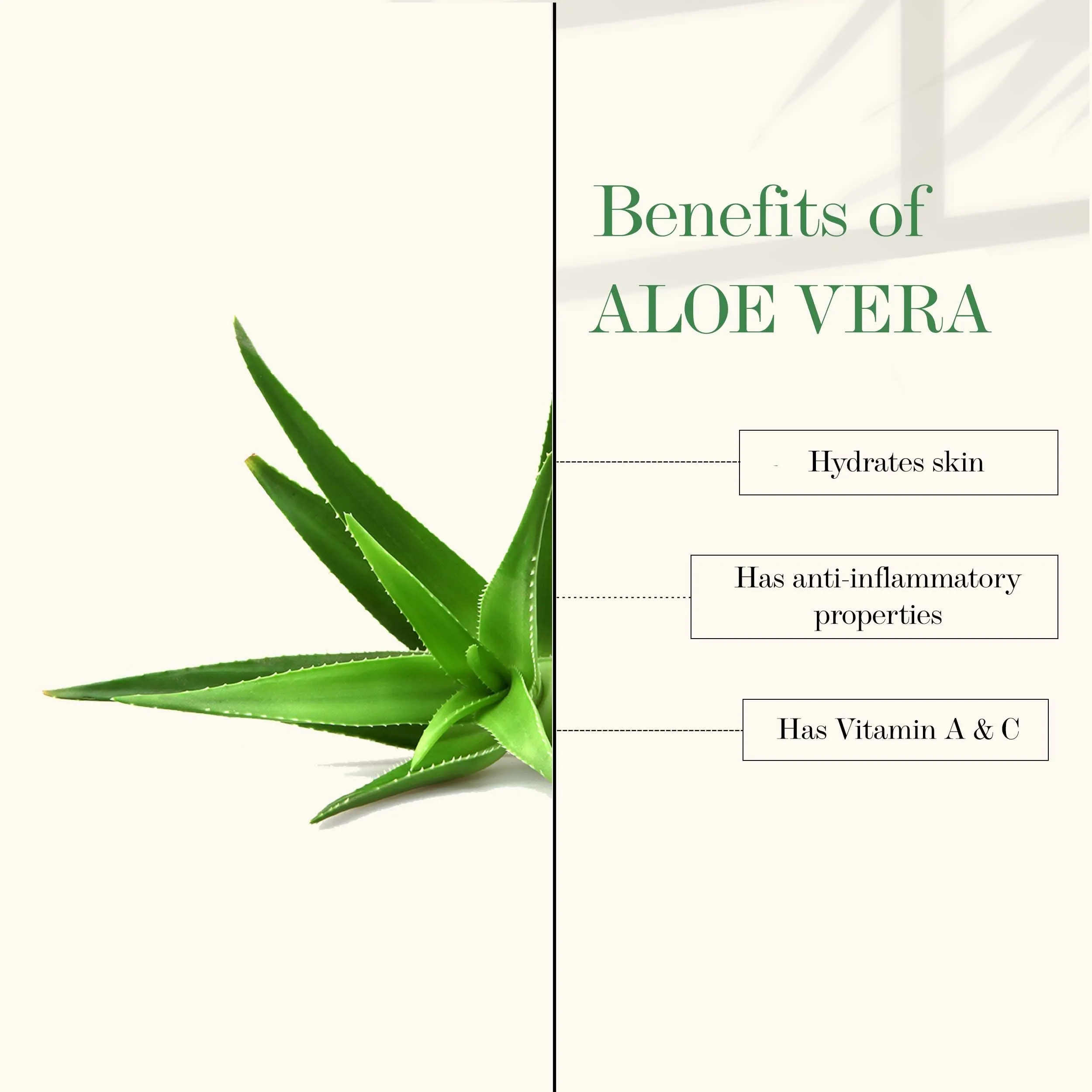 Good Vibes Aloe Vera   Vitamin E Anti - Acne Night Face Lotion| With Hyaluronic Acid | No Parabens, No Sulphates, No Mineral Oil (120 ml)