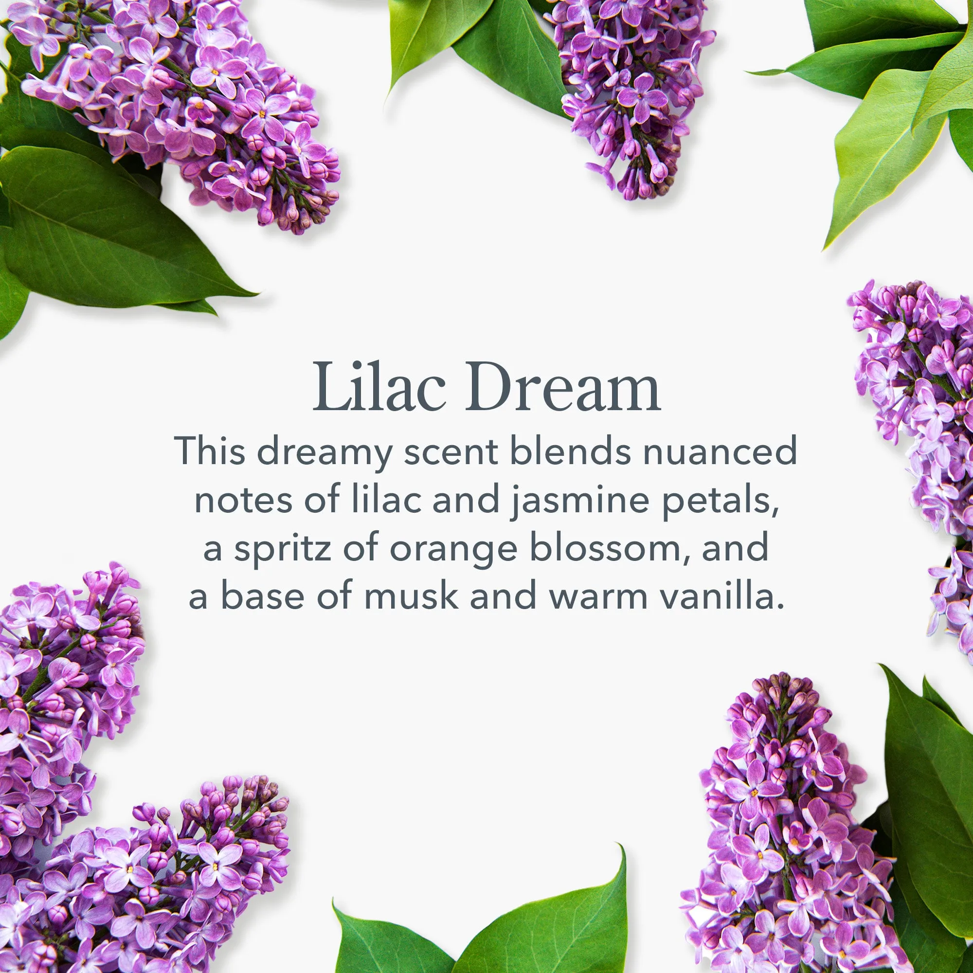 Lilac Dream Whipped Body Cream Set of 2